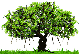 手绘自然景观草地上的古榕树