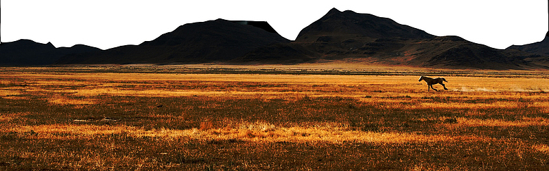 沙漠戈壁荒野野外PNG背景矢量图