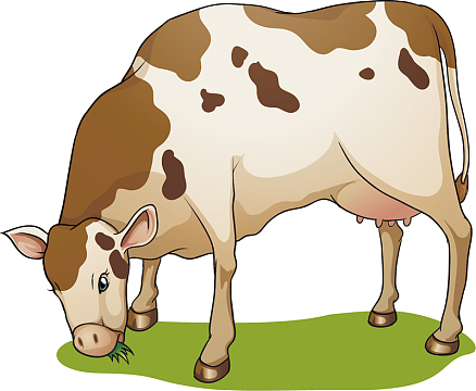 矢量图吃草的小牛