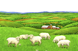 手绘乡村农田插画