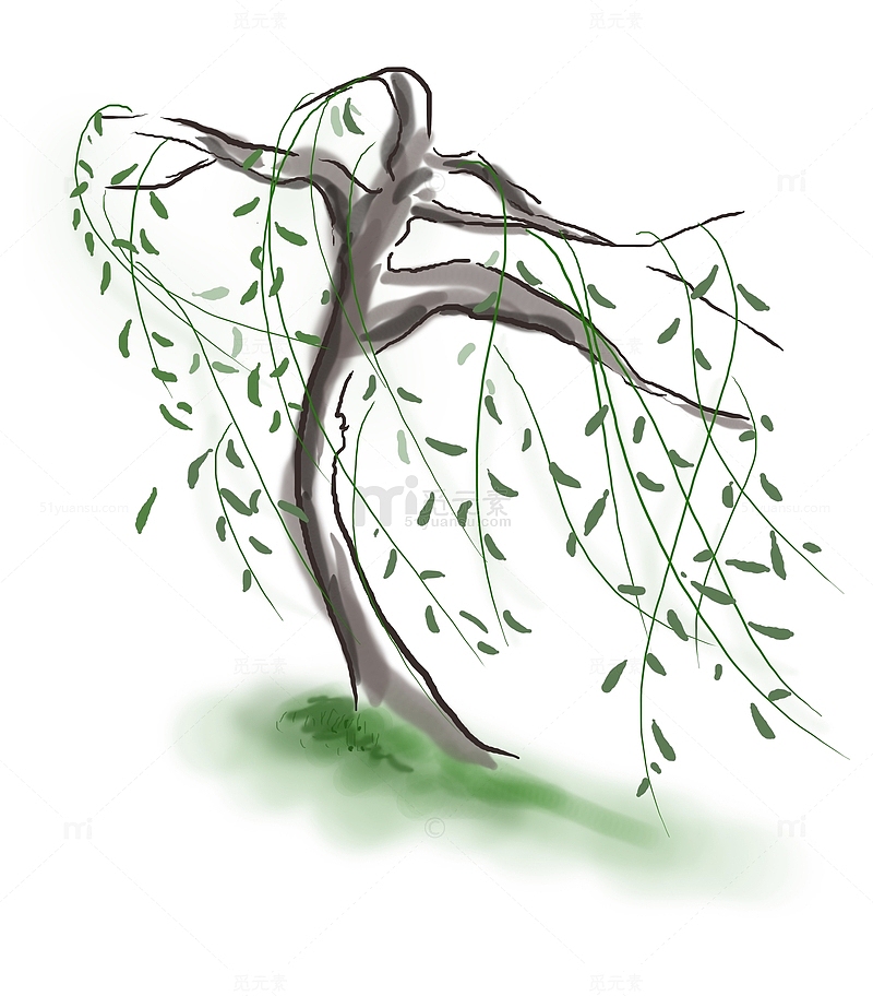 一棵风中的柳树手绘图