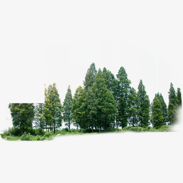 树林免抠素材免费下载_觅元素51yuansu.com