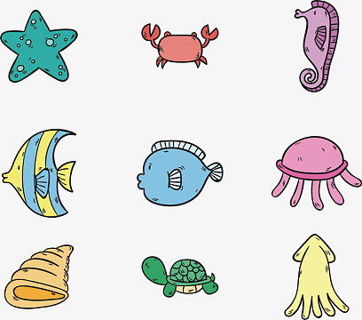 png海滩海星贝壳海螺背景jpg海螺免扣元素png蓝色小螺卡通插画aipn