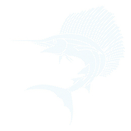 矢量剑鱼