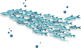 世界海洋日密集鱼群