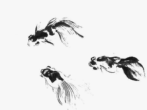 手绘水墨画动物小鱼
