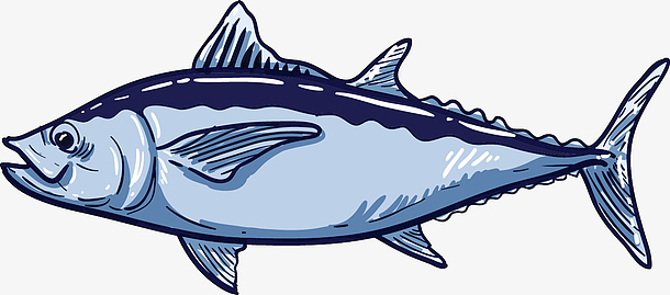 精美海鲜矢量元素