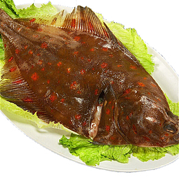 深海野生鲽鱼