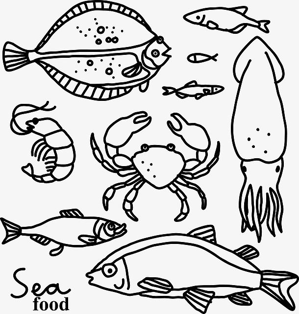 手绘海底动物