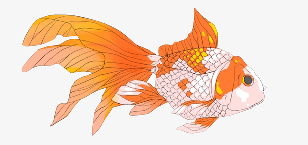 关键词 : 金鱼,手绘,动物,鱼,卡通,观赏鱼[声明] 觅元素所有素材为