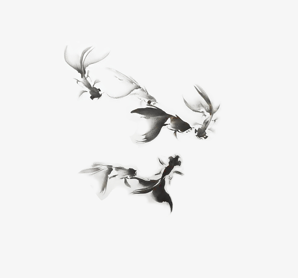 游动的金鱼素材免费下载_觅元素