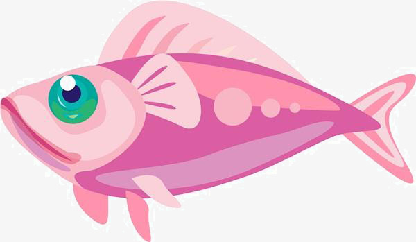 卡通鱼素材