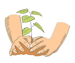 正在种植树苗的大手