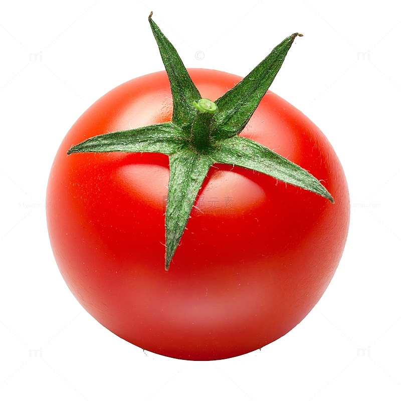 西红柿蔬菜