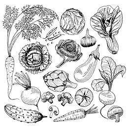 素描蔬菜