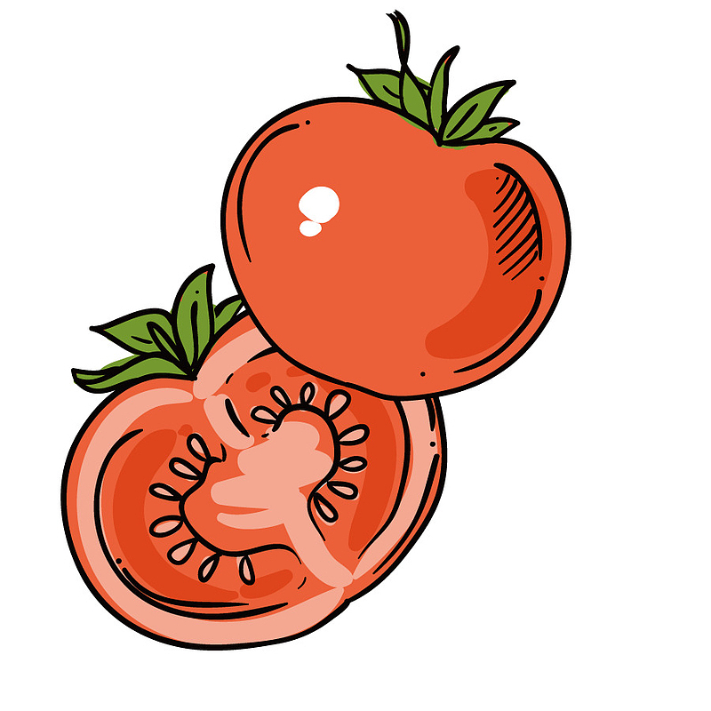 矢量水果西红柿