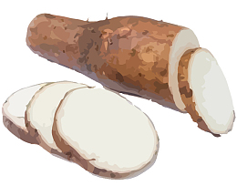 手绘风格食材山药切片免抠