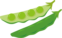 手绘卡通绿色豌豆荚