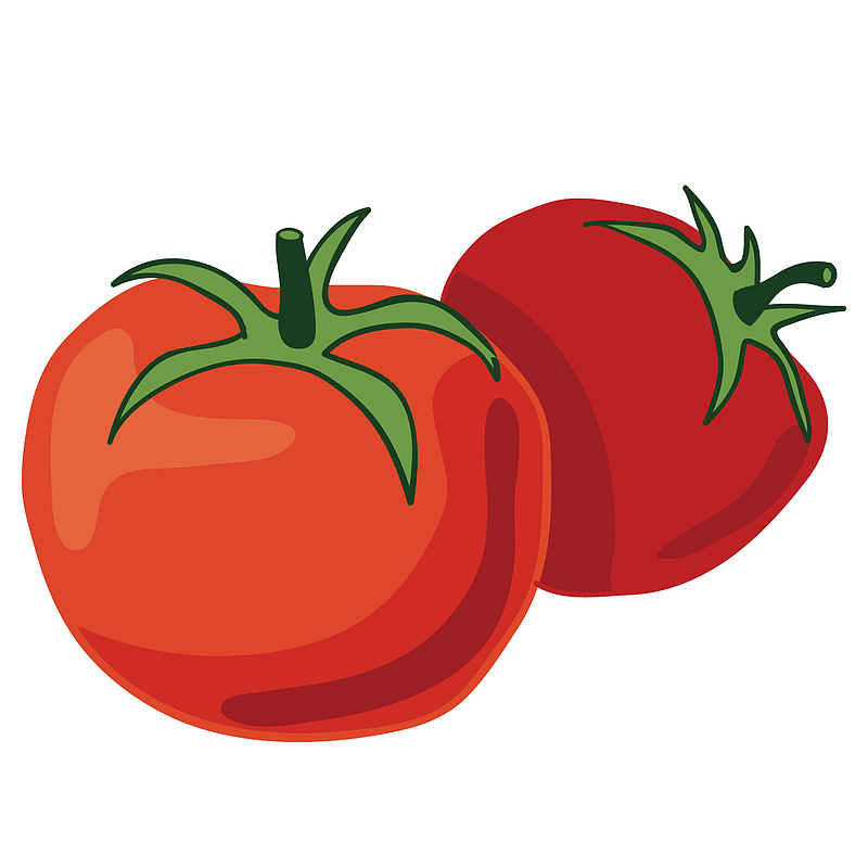 矢量红色扁平西红柿