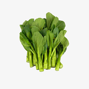 一把新鲜绿色的广东菜心美食插图