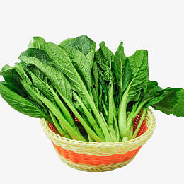 一篮子新鲜绿色菜心食材摄影免抠