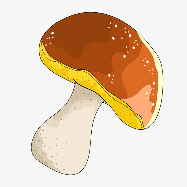 关键词 : 可爱蘑菇,食物,药材,中药,蔬菜,手绘卡通蘑菇[声明] 觅元素