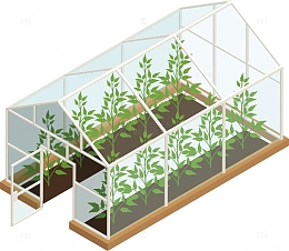 一个矢量大棚蔬菜