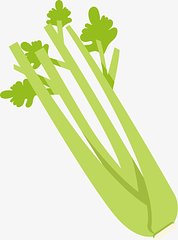 矢量芹菜pngpng蔬菜之芹菜茎pngpng一捆芹菜pngpng绿色芹菜叶子pngpng