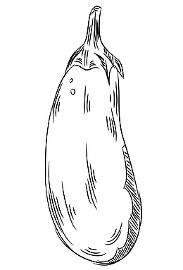 手绘无颜色素描长茄子素描蔬菜免