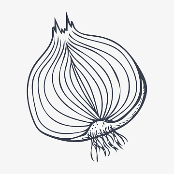 手绘洋葱