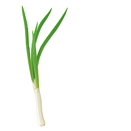 一根大葱pngpng葱烧海参鲁菜经典pngpng中年夫妻pngpng大葱矢量卡通