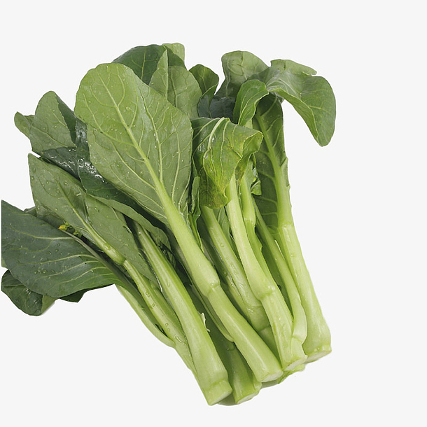 一把新鲜绿色广东菜心淘宝摄影免