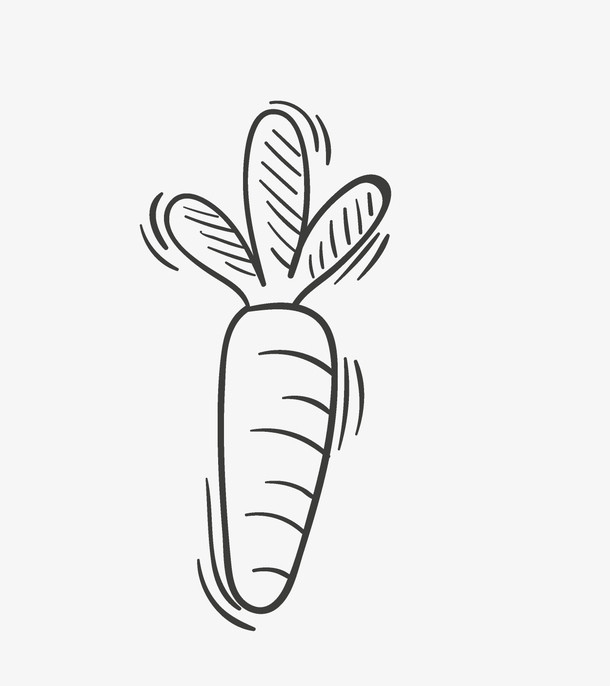 一根胡萝卜简笔画