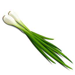 绿色蔬菜大葱食物元素
