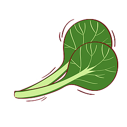 两片青菜PNG下载