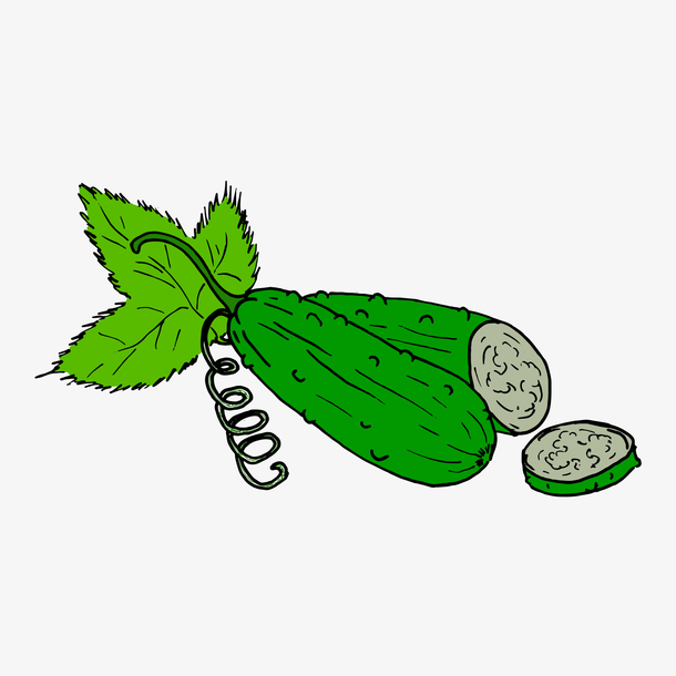 绿色的苦瓜