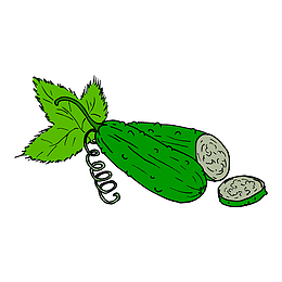 绿色的苦瓜