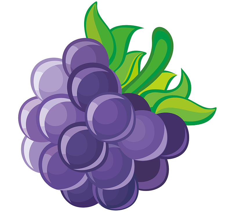 一串紫色的大葡萄
