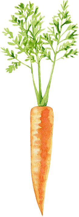 卡通手绘蔬菜装饰海报设计胡萝卜