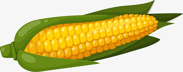 手绘带叶玉米装饰