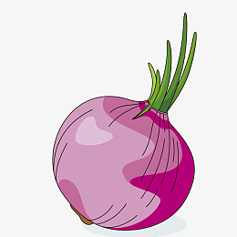 卡通矢量洋葱