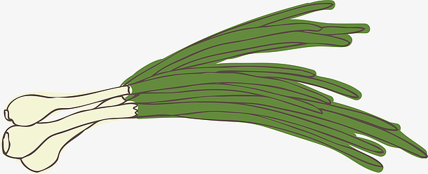 一盘小葱素材_一盘小葱图片元素-觅元素