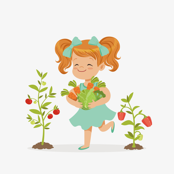 矢量植物种植蔬菜