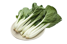 天然有机蔬菜奶白菜