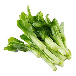 一把新鲜绿色广东菜心健康饮食插
