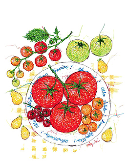 水彩西红柿