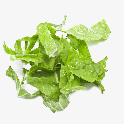 菜叶装饰素材免费下载_觅元素