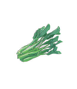 绿色手绘的芥蓝
