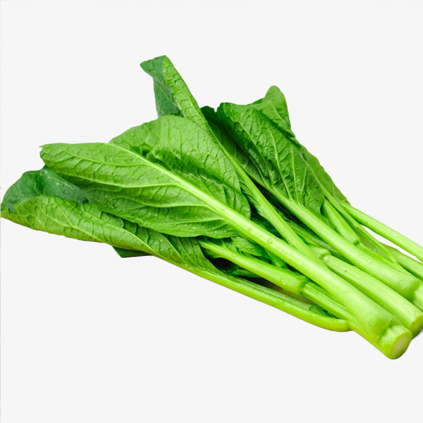 几根新鲜绿色广东菜心素菜摄影插