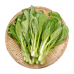 一竹筛绿色健康的新鲜菜心实物免